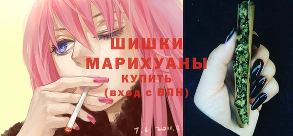 хмурый Бородино