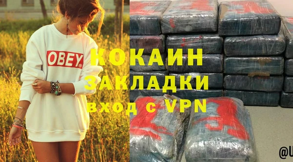 хмурый Бородино