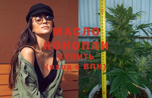хмурый Бородино
