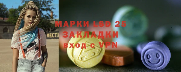 хмурый Бородино
